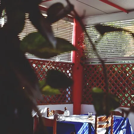 Greta * Torre San Giovanni